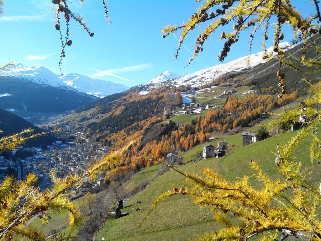 Agriturismo Raethia Isolaccia Eksteriør billede
