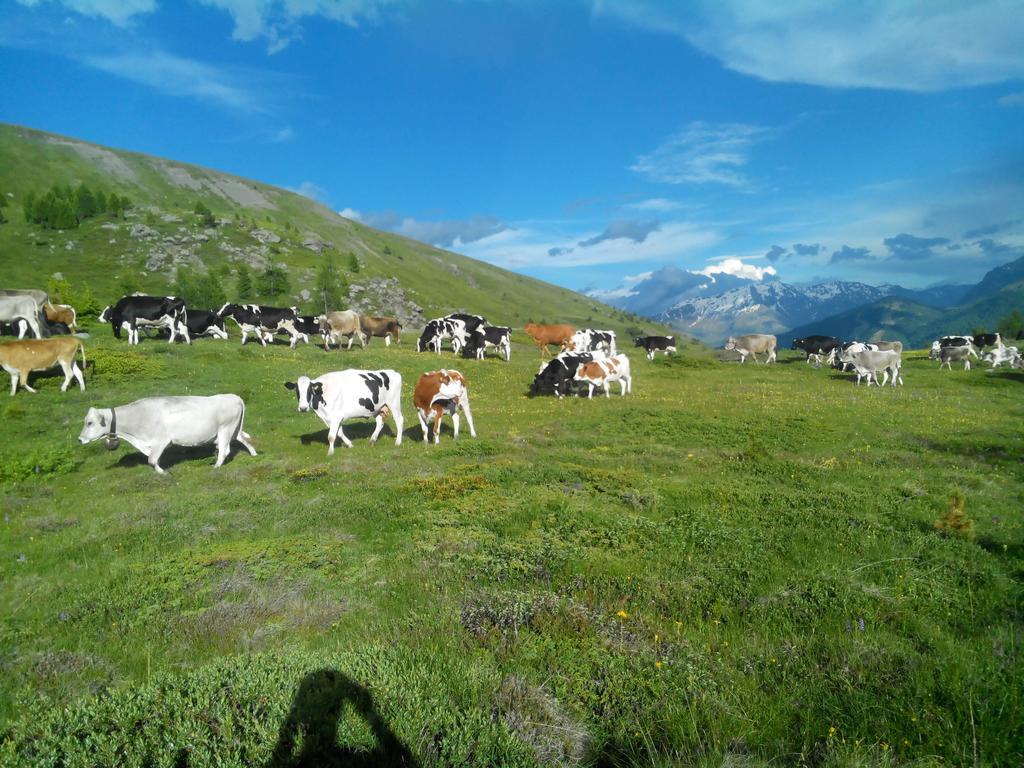 Agriturismo Raethia Isolaccia Eksteriør billede
