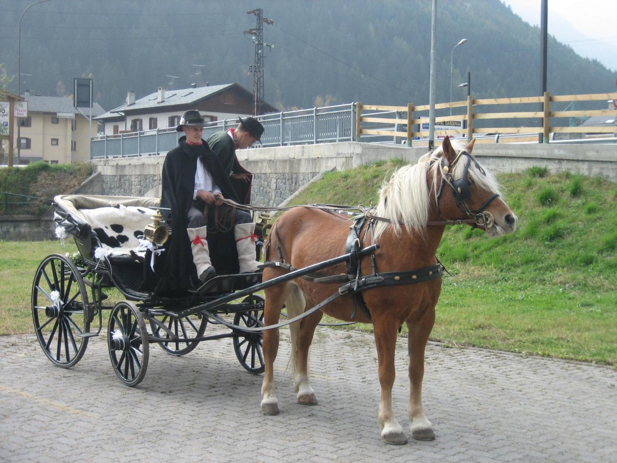 Agriturismo Raethia Isolaccia Eksteriør billede