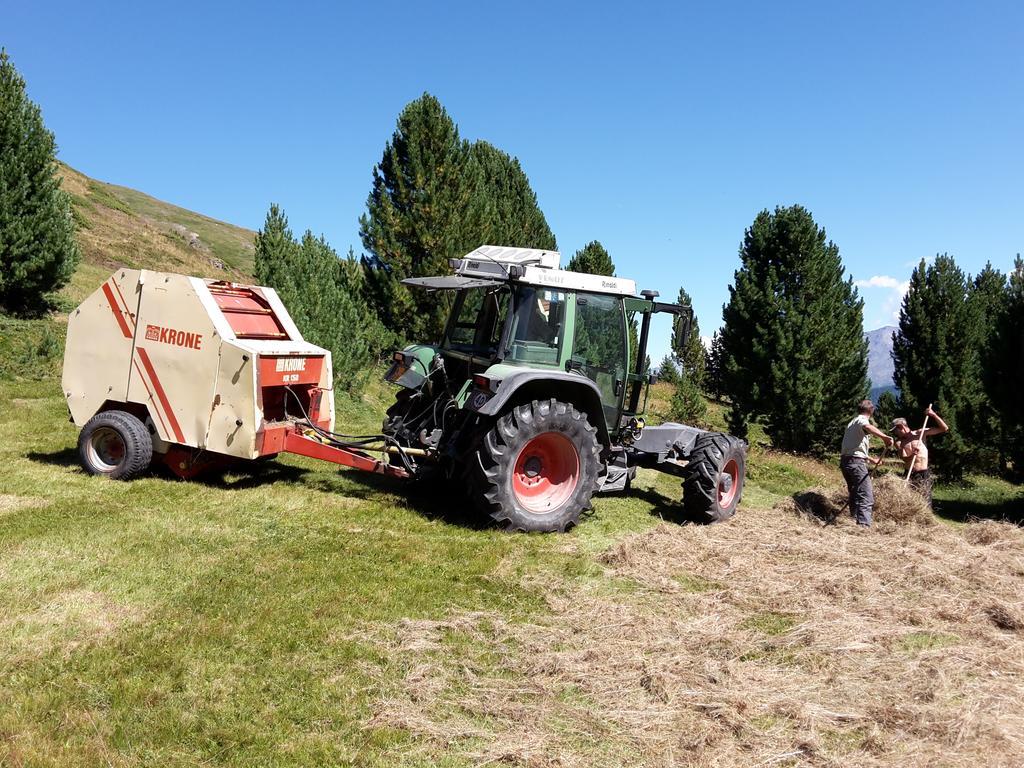 Agriturismo Raethia Isolaccia Eksteriør billede