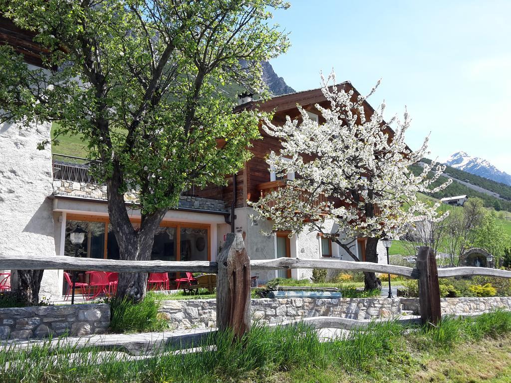 Agriturismo Raethia Isolaccia Eksteriør billede
